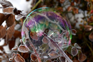 Winter Bubble