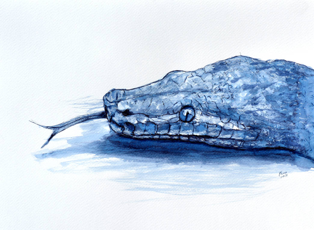 Ink Python by Ptero-Pterodactylus on DeviantArt