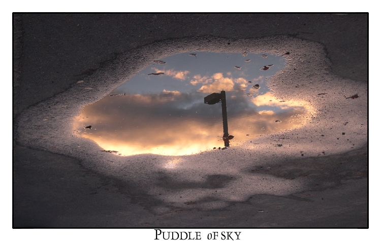 Puddle of Sky