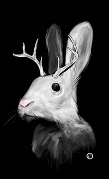 Jackalope