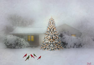 Snow Birds and Holiday Trees by Shyll-j Snow Birds and Holiday Trees by Shyll-j
