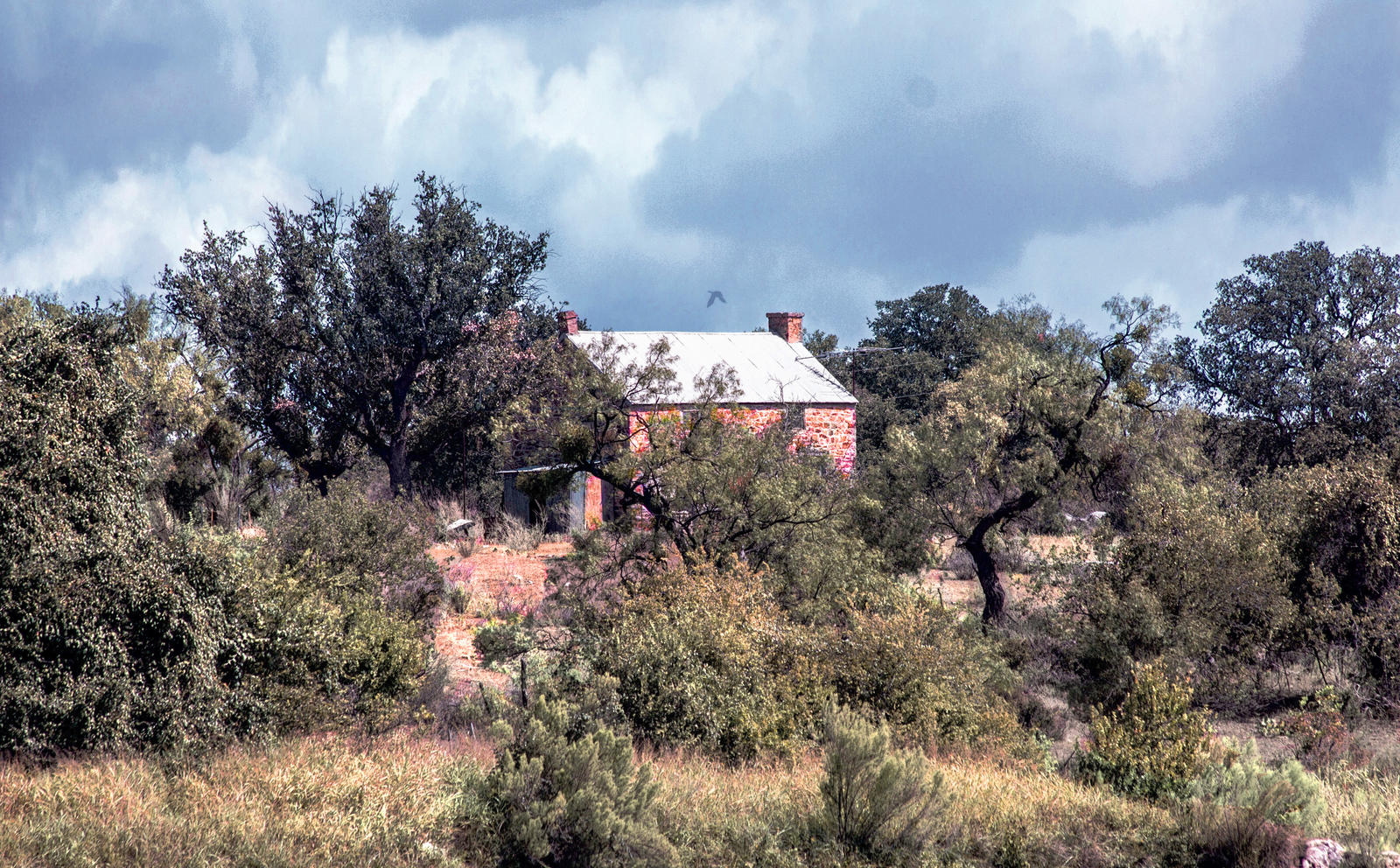 House on the Hill