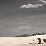 White Sands Of New Mexico