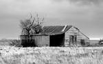 Black and White Barn by Shyll-j