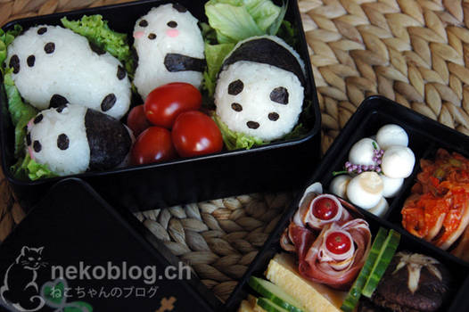 Panda Obento