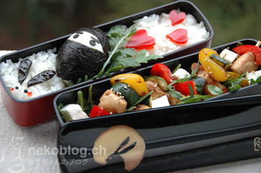 Ninja Bento~