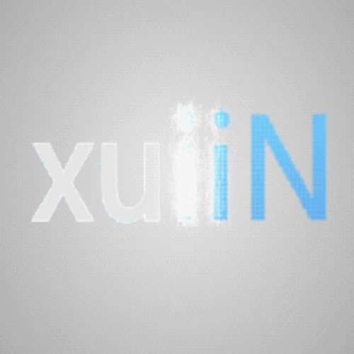 xuiiN Logo