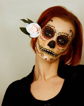 Sugar Skull - Halloween 2010