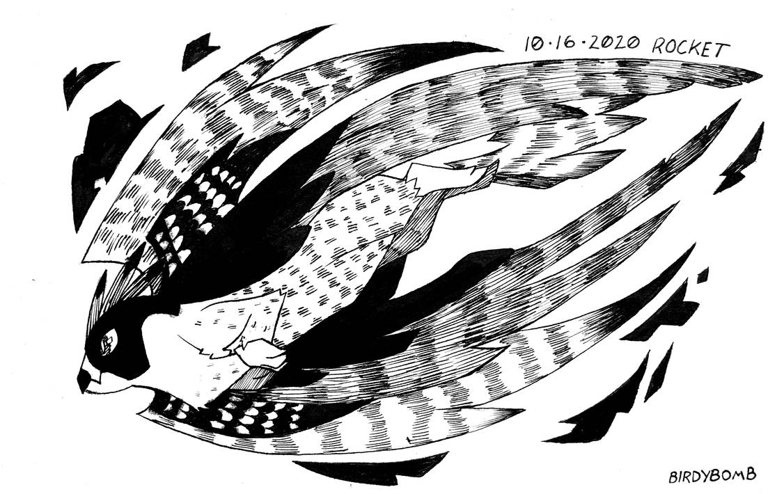 Draketober 16 Rocket by akamarulover2 on DeviantArt