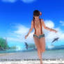 DEAD OR ALIVE 5 Last Round  74 Leifang