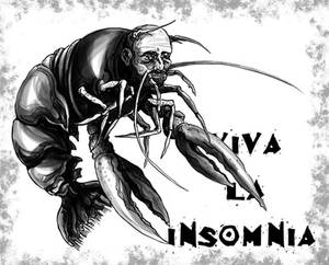 Insomnia Lobster