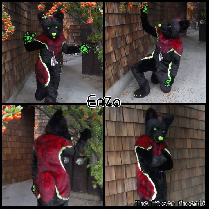 Enzo Fullsuit