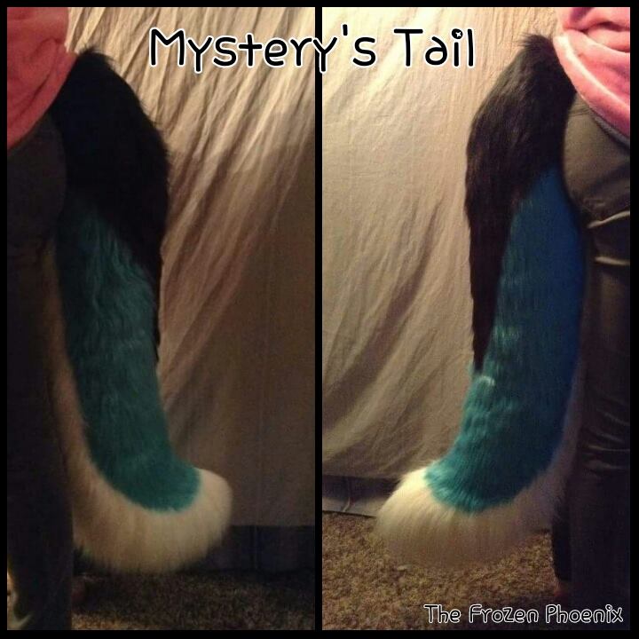 Mystery's Tail