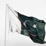 THe  Pakistani Flag