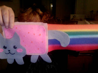 Nyan Cat Scarf