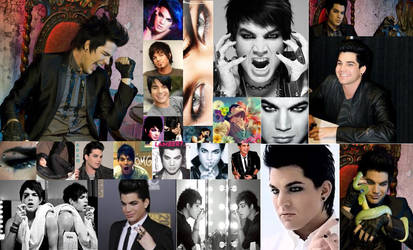 Adam Lambert Wallpaper