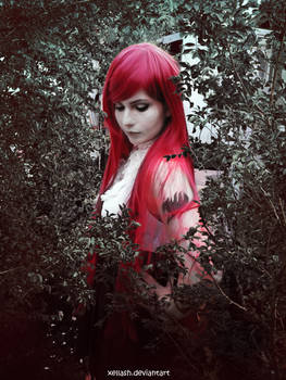 Erza Scarlet Cosplay