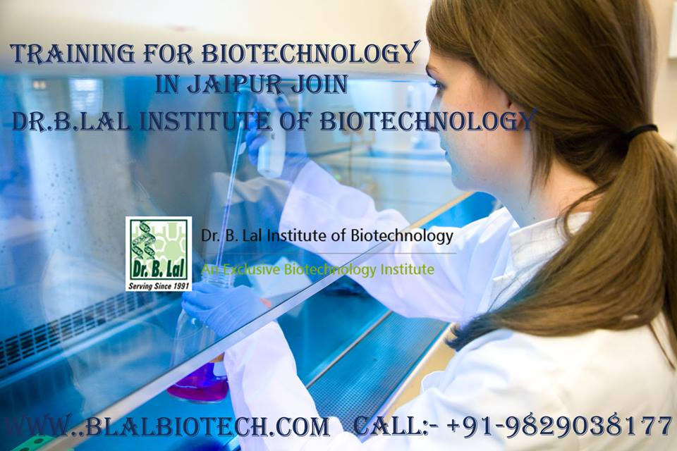 Msc Biotechnology by blalbiotech121 on DeviantArt