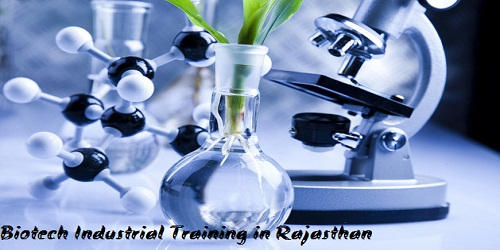 Msc Biotechnology in Rajasthan by blalbiotech121 on DeviantArt