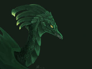 Dragon portrait