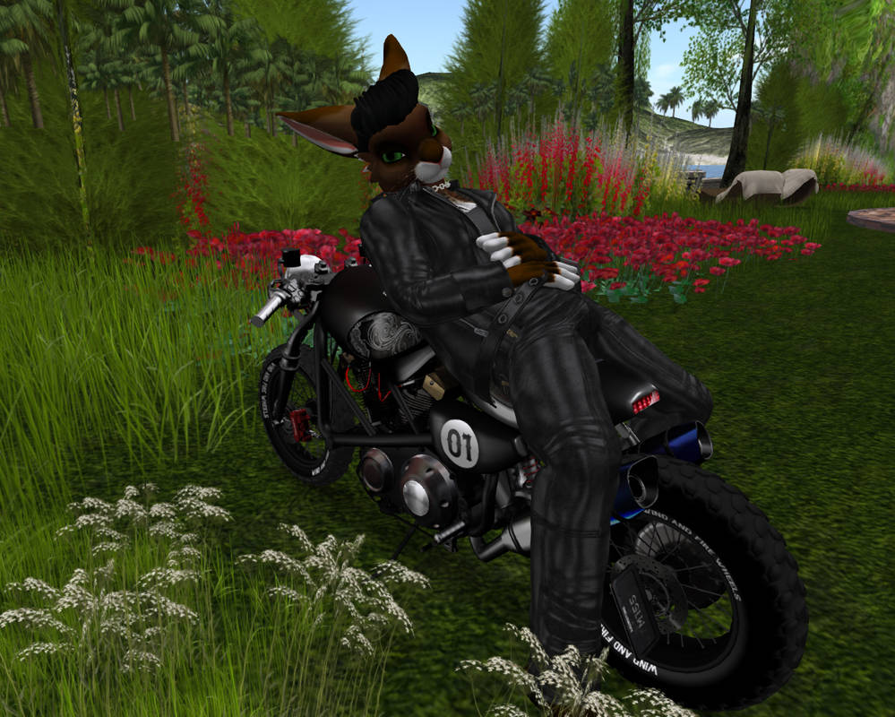 rocker bunny II by timberfox15 on DeviantArt