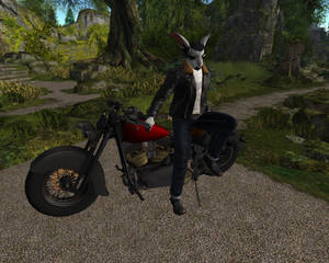 classic biker bunny