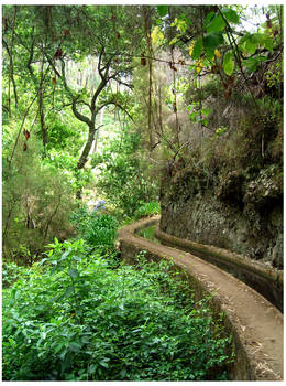 Levada