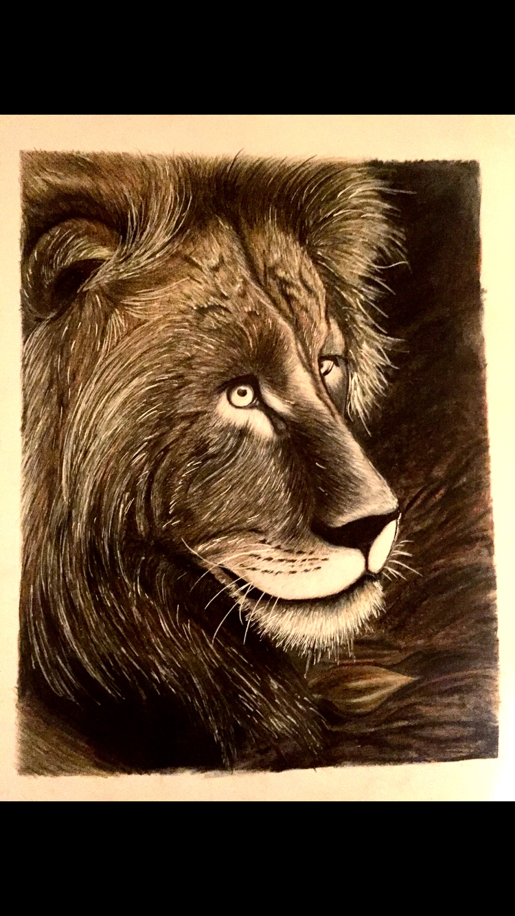 Lion