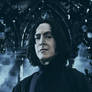 Severus Snape