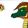 Draco Dragon