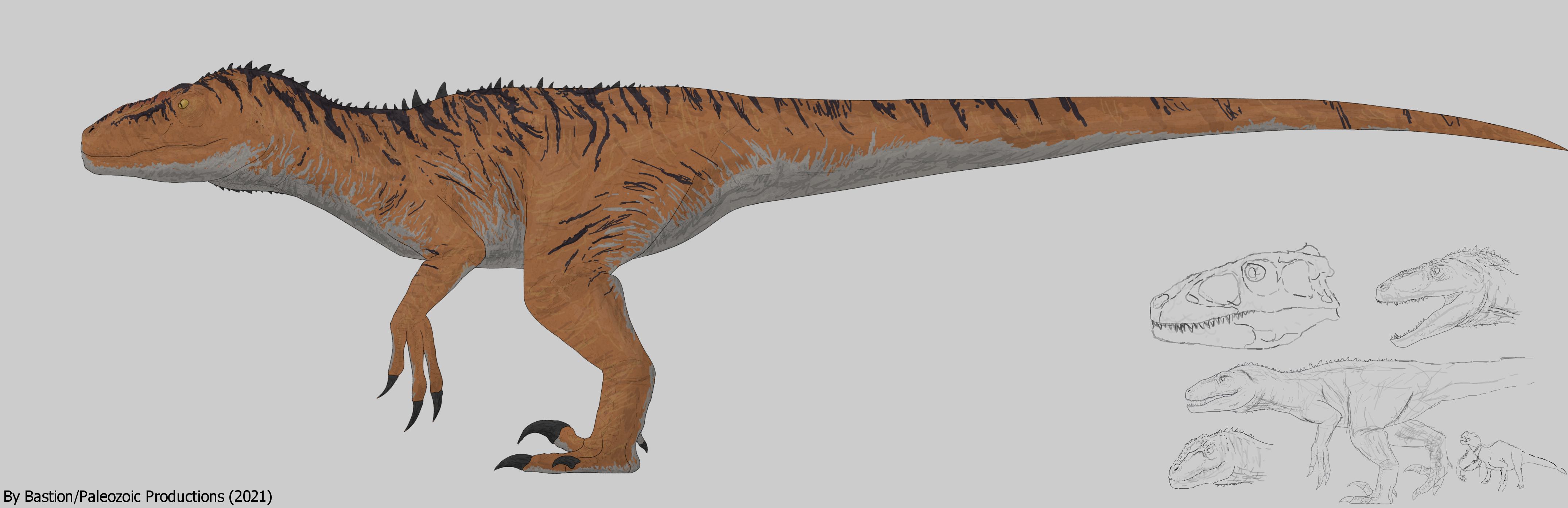 Utah Raptor Body Base Utahraptor Design Process by Bastion14 on DeviantArt