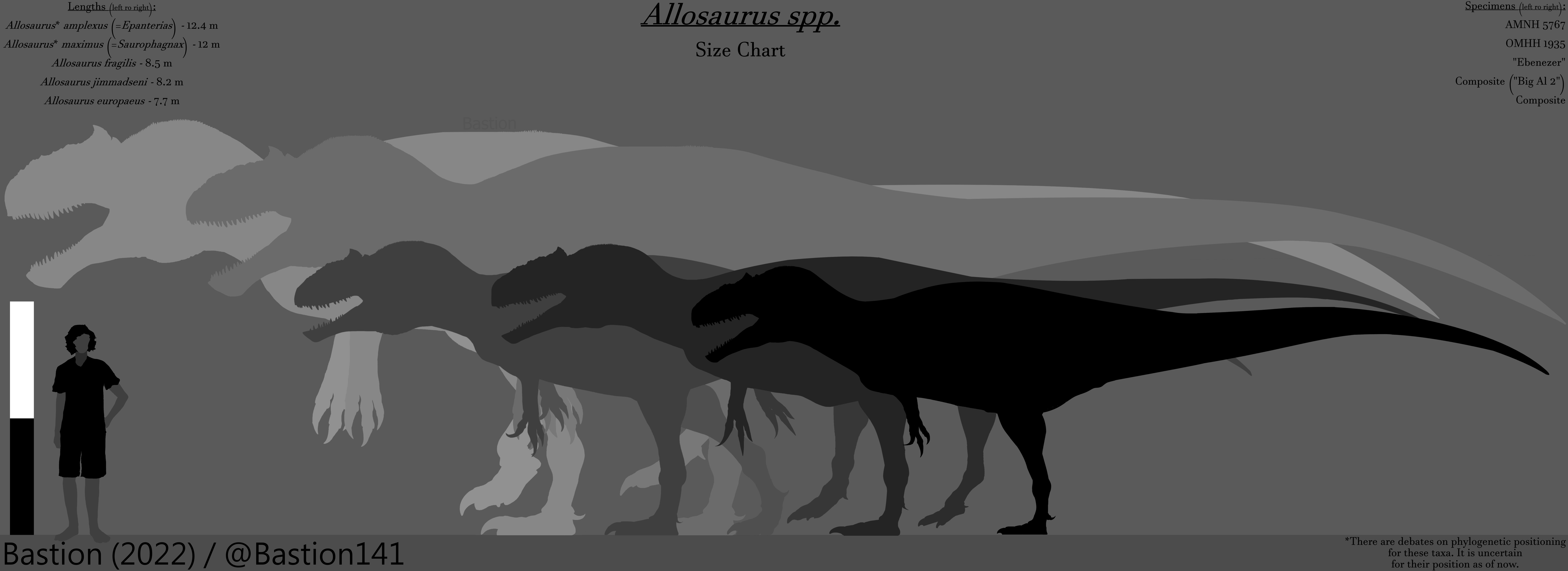 Allosaurus Size Comparison To T Rex