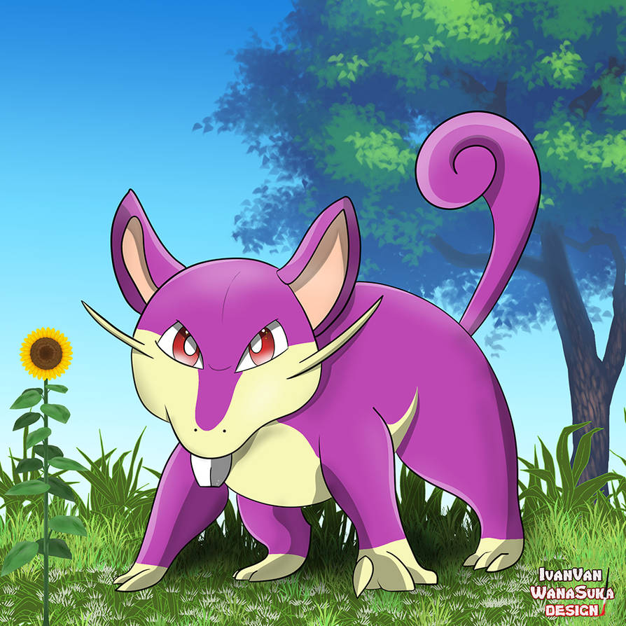 Angry Rattata Rattata by IvanVanWanaSuka on DeviantArt