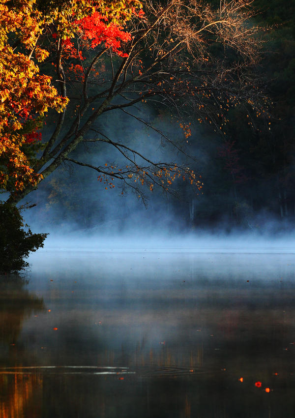 Autumn Pond