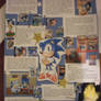 Sonic the Hedgehog Info Poster
