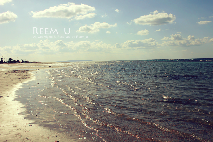 Beach in ksa