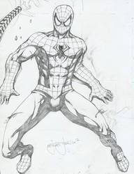 SpiderMan