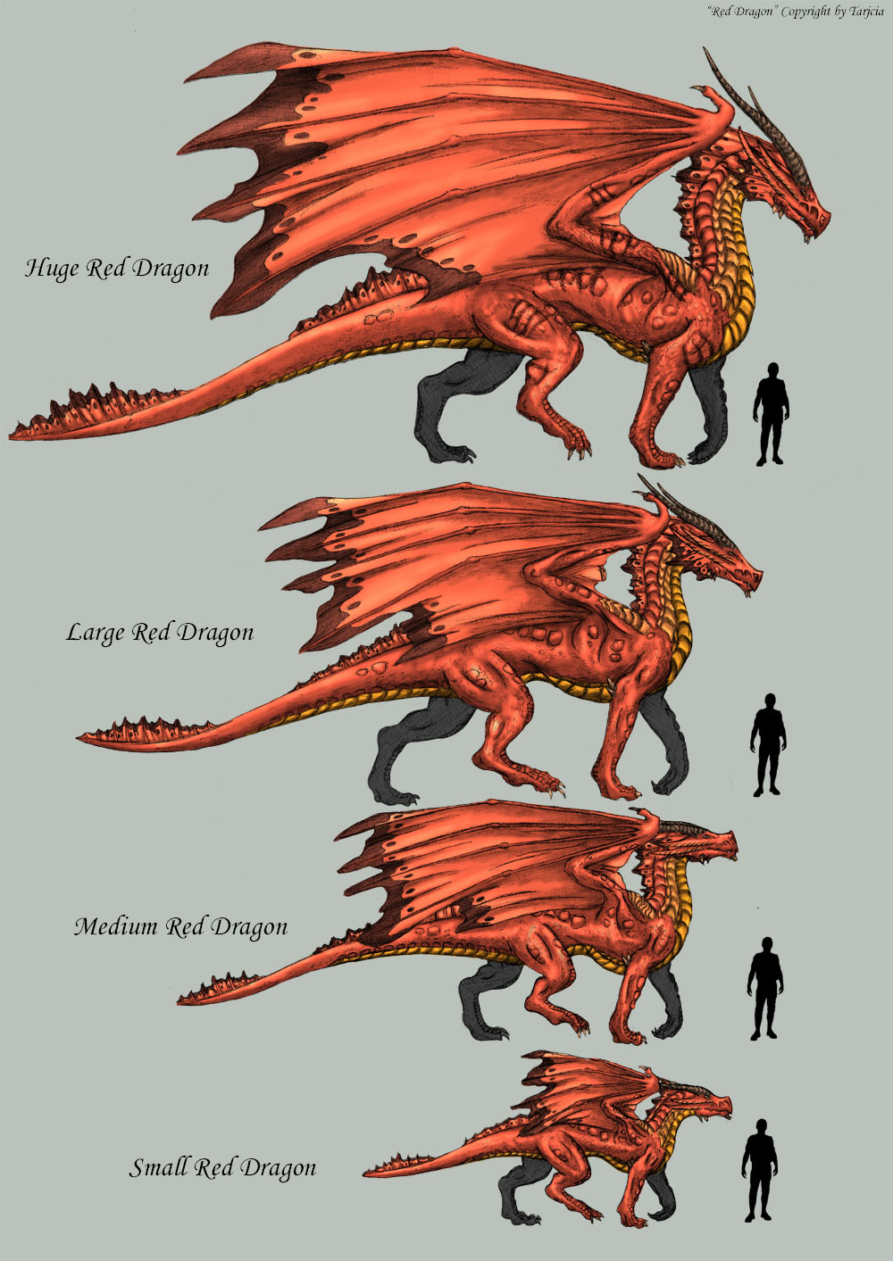 dragonscale_about_dragons