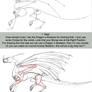How to draw Dragons Part One