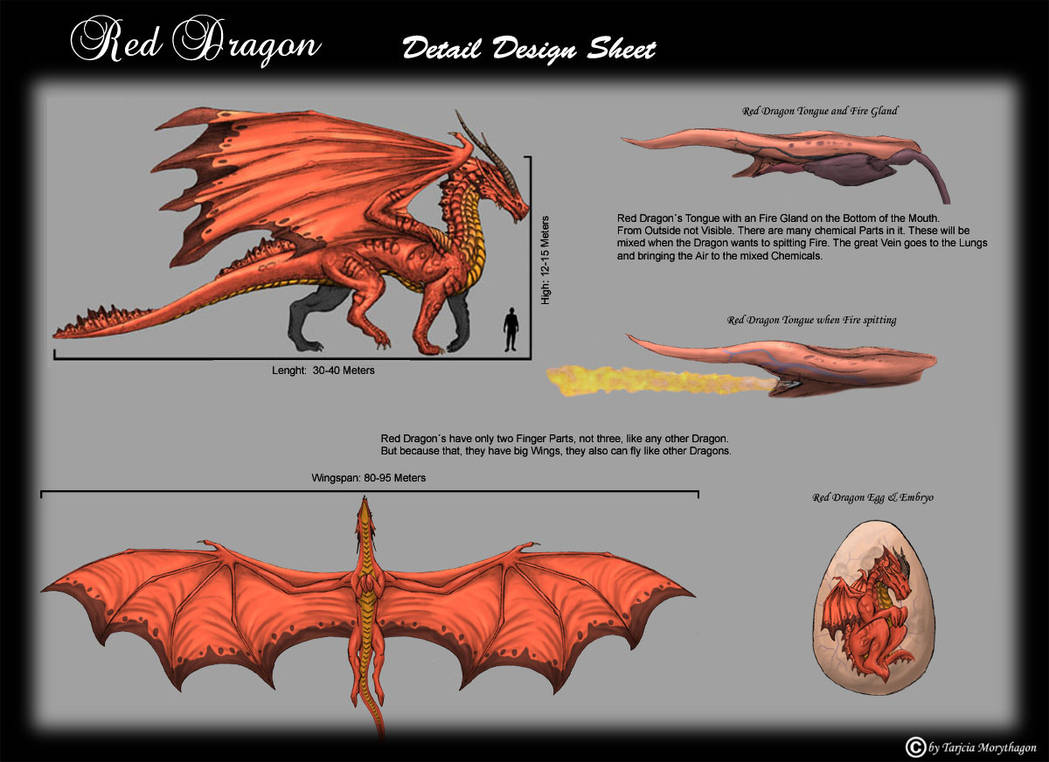 Red Dragon Shell Red Dragon Details by Sheranuva on DeviantArt