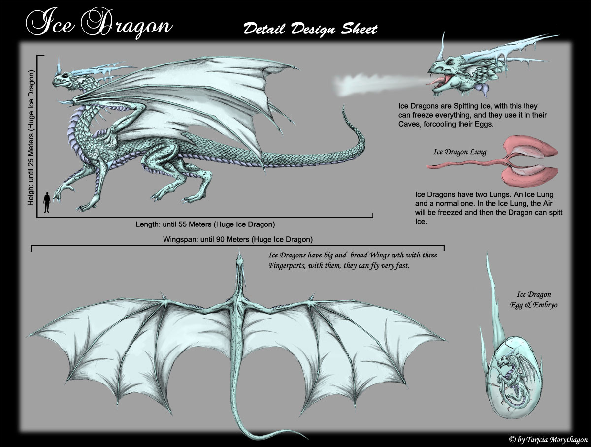 Ice Dragon Details