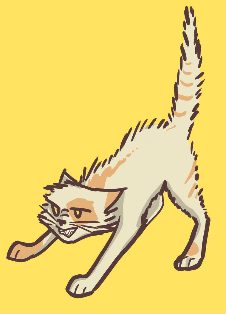 Cat Defensive Mode Defensive Cat by Leyttoo on DeviantArt