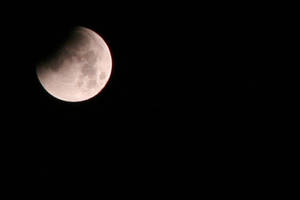 Lunar Eclipse 2:50 am