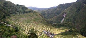 Batad Rice Terraces