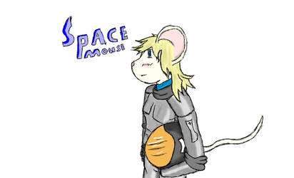 Space mouse