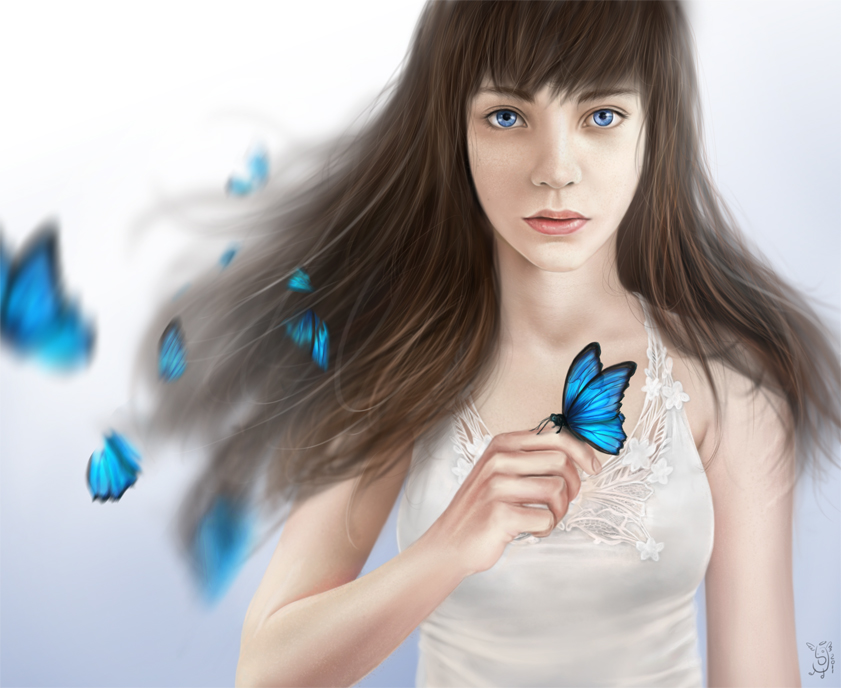 Butterfly