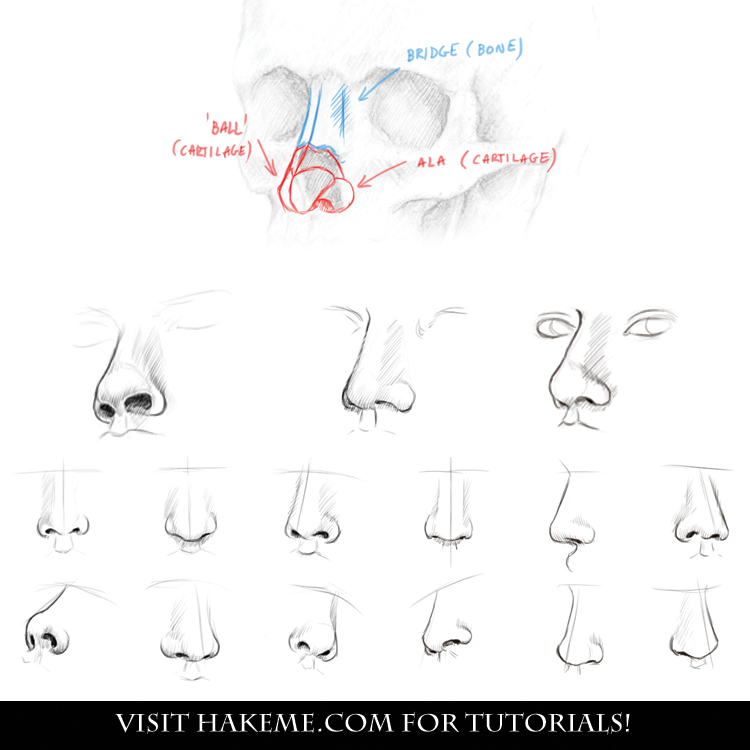 how to draw a female nose step by step