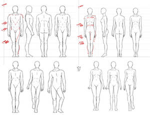 Anatomy - simple standing pose