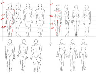 Anatomy - simple standing pose