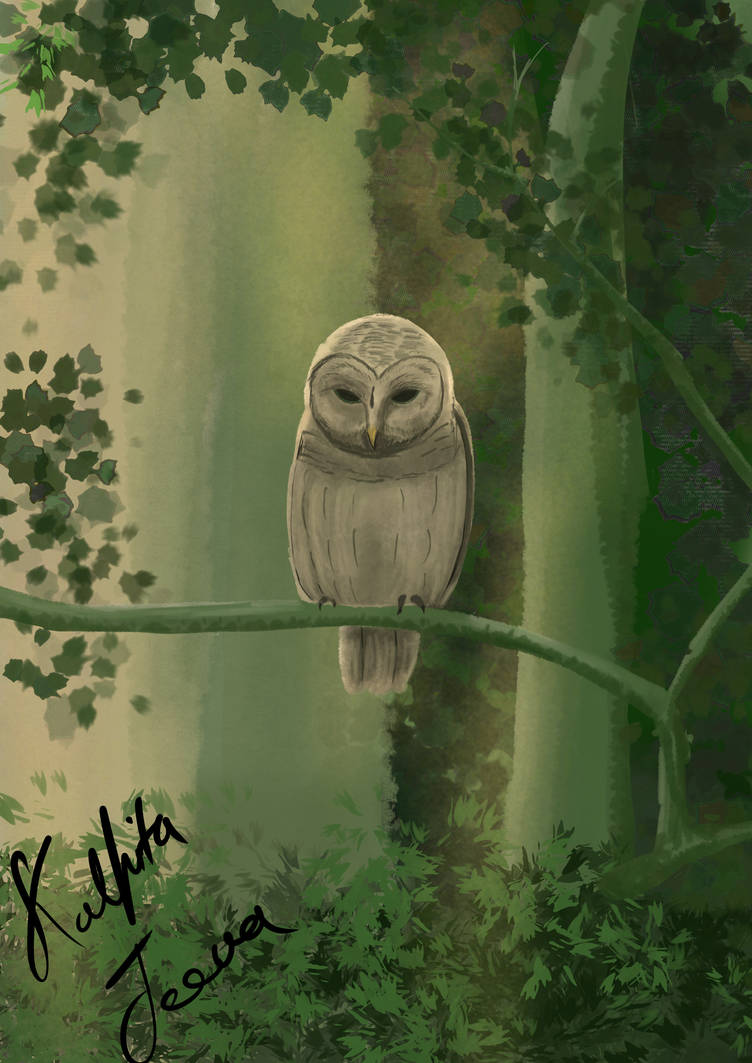 Owl by kalpitajeevah on DeviantArt